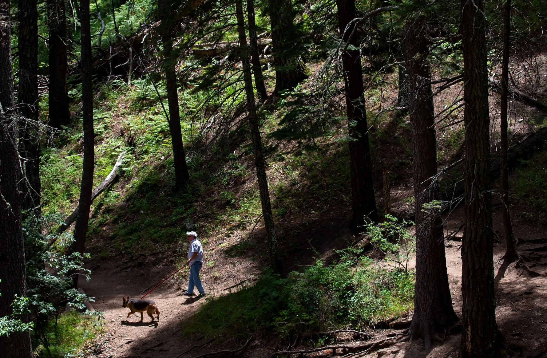 Marshall Gulch